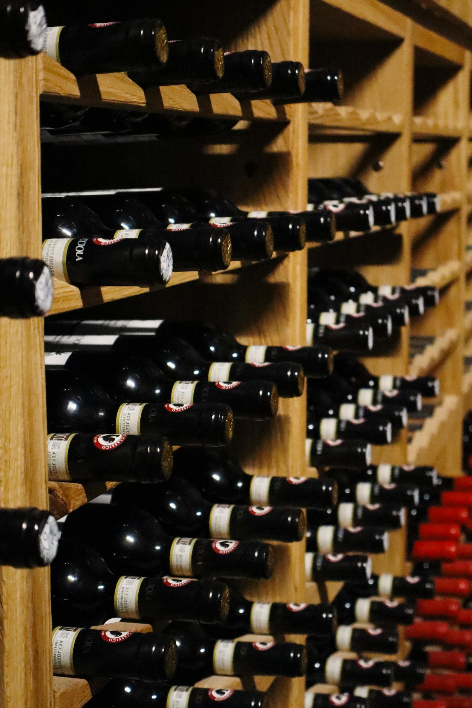 Climate-controlled wine cellar with rows of bottles in a temperature-regulated dark wood storage room