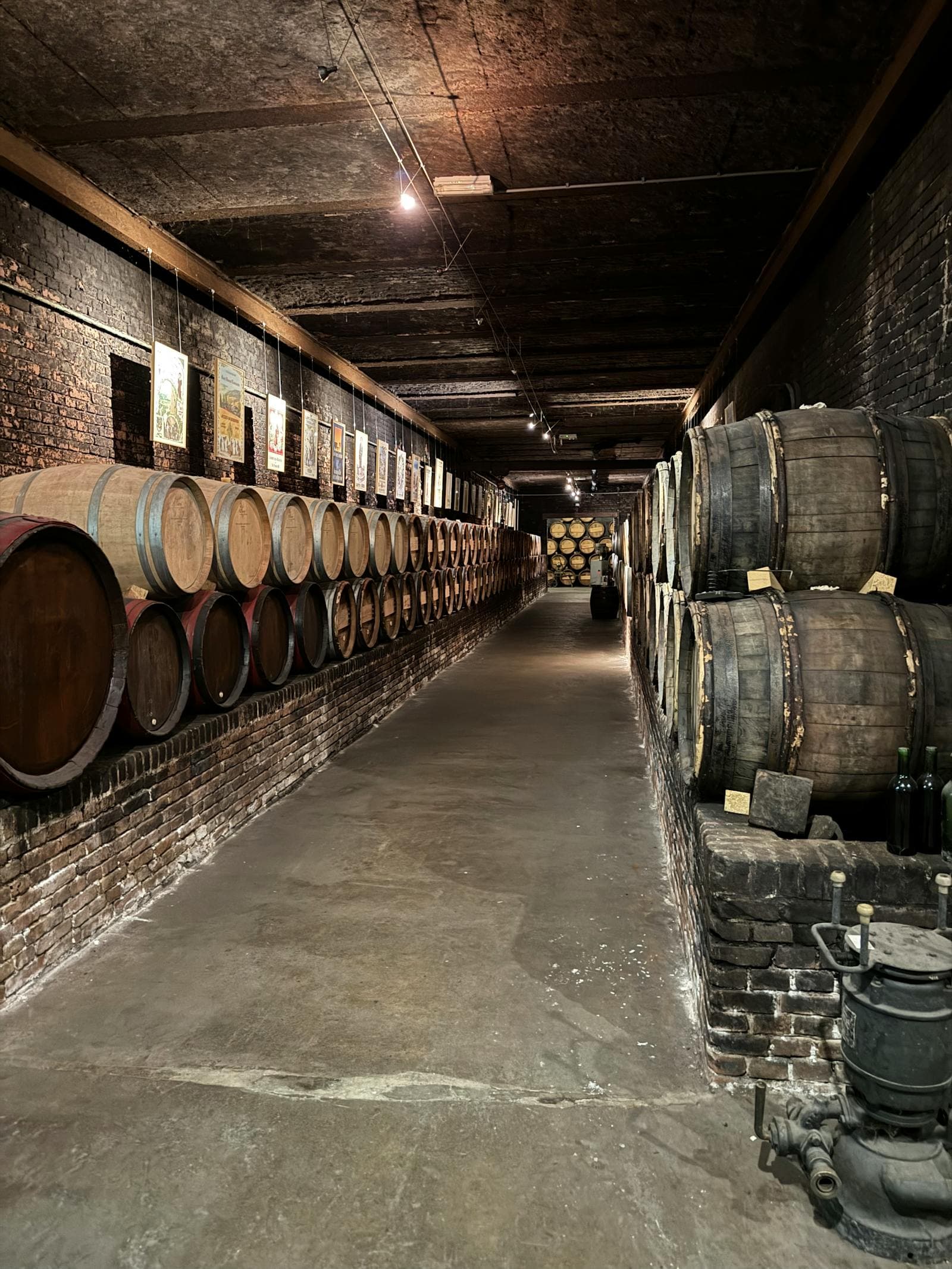 Wine cellar in Denver Colorado built for mile-high altitude with engineered humidity control